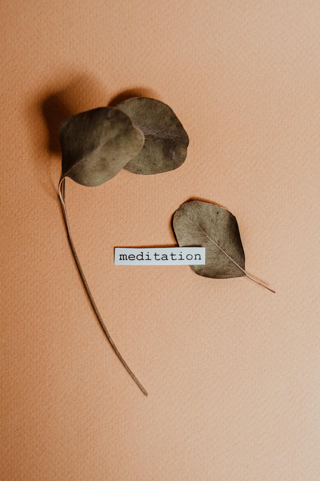 Minimalist image featuring dry leaves and the word 'meditation' on a textured background.